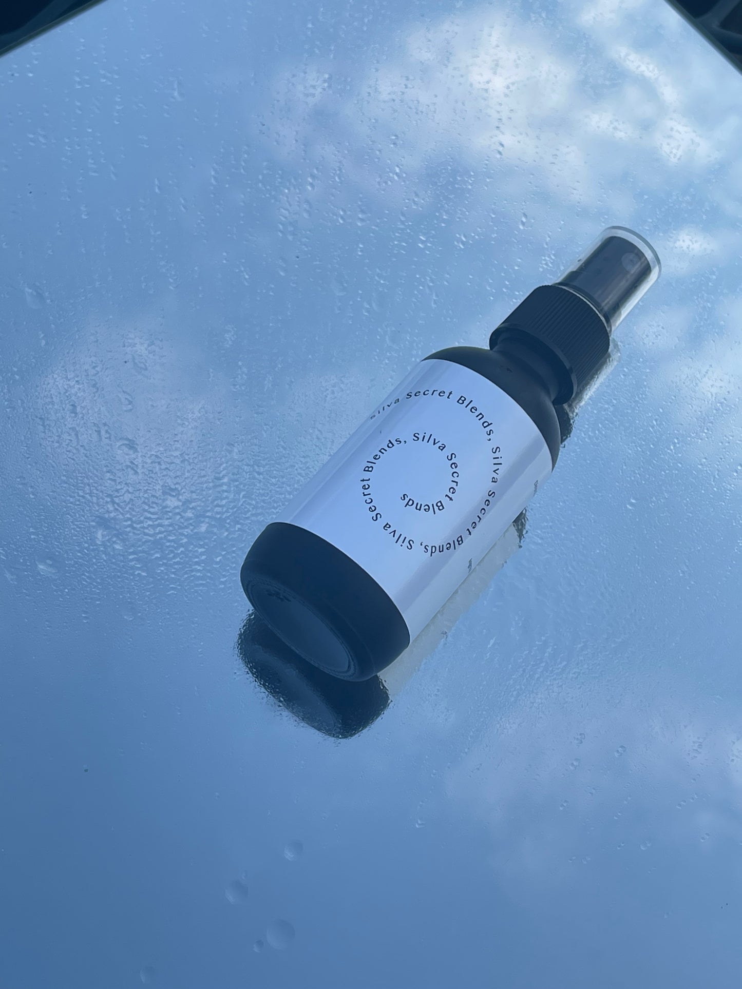 Spray #1 for Aroma & Linens - Silva Secret Blends Collection